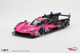 1:18 2024 IMSA Petit Le Mans Winner -- #01 Cadillac V-Series.R -- TopSpeed Model