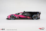 1:18 2024 IMSA Petit Le Mans Winner -- #01 Cadillac V-Series.R -- TopSpeed Model