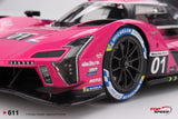 1:18 2024 IMSA Petit Le Mans Winner -- #01 Cadillac V-Series.R -- TopSpeed Model
