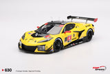 1:18 2025 IMSA Daytona 24 Hr -- #4 Corvette Racing -- TopSpeed Model TS0630