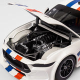 1:18 1966 ATCC Winner Tribute -- Imagination Project Edition 8 -- Authentic