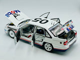 1:18 1991 Peter Brock/Andrew Miedecke Bathurst -- Holden VN Commodore -- Biante