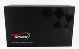1:18 2023 Le Mans 24h LMGTE AM Winner -- #33 Corvette Racing -- TopSpeed Model