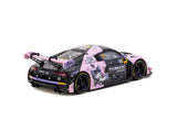 (Pre-Order) 1:43 2024 Macau GT Cup - Adderly Fong -- #10 Audi R8 LMS GT3 -- Tarmac Works