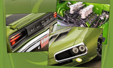 (Pre-Order) 1:18 1970 Dodge Super Bee Street Fighter "Mutant Bee" -- Green -- GMP