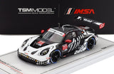 (Pre-Order) 1:43 2025 IMSA Petit Le Mans -- #77 "Skeleton Rexy" Porsche 911 GT3 R (992) -- TSM-Model